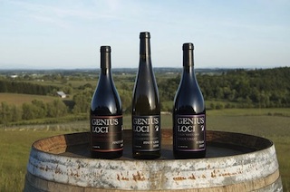 Genius Loci Tasting Room